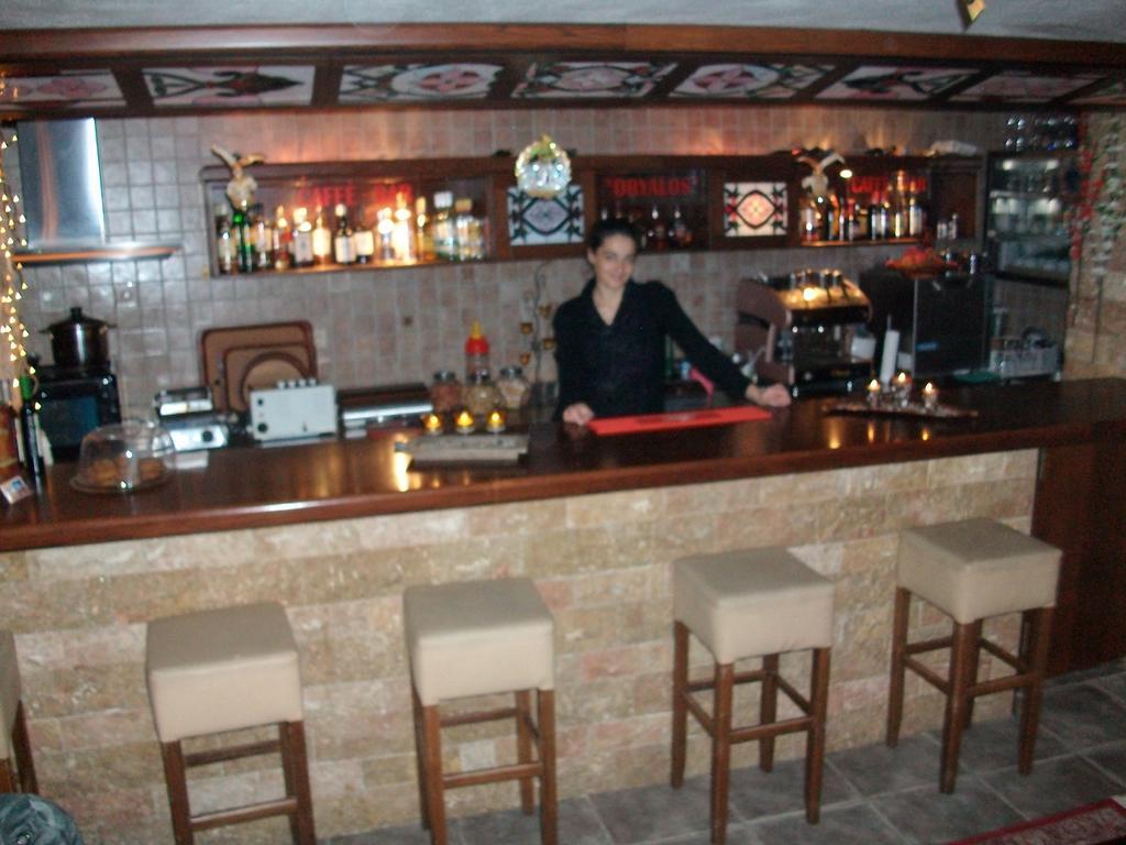 Hotel Dryalos Mileai Bagian luar foto